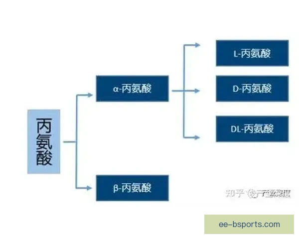国家队伤停消息最新动态解读与阵容影响深度分析前瞻走势评估全面
